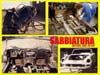 59-SabiaturaPage